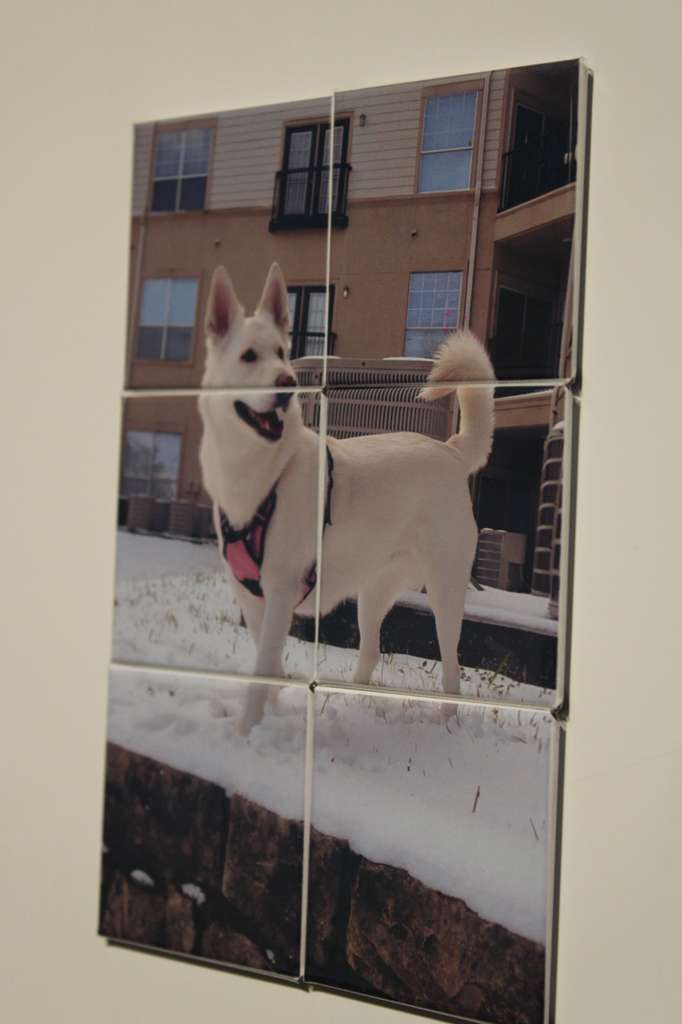 Puzzle Magnets