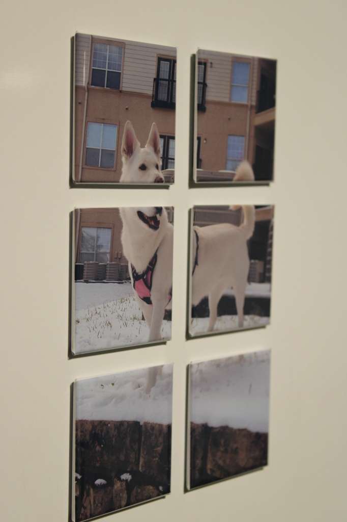 Puzzle Magnets