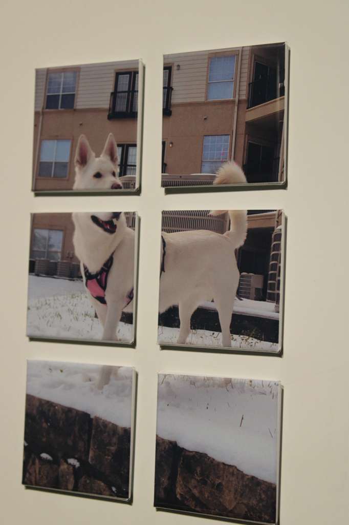 Puzzle Magnets